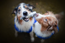 Load image into Gallery viewer, Puppy Powder Perfume