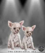 Load image into Gallery viewer, Chihuahua Set