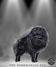 Load image into Gallery viewer, Pomeranian Show Set
